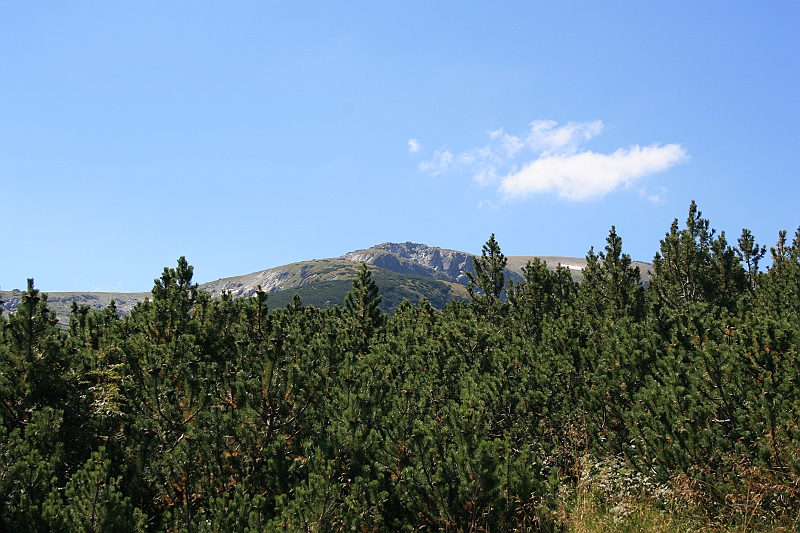 Bulgaria 2008 440